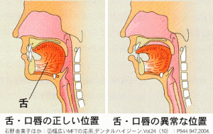 舌の位置